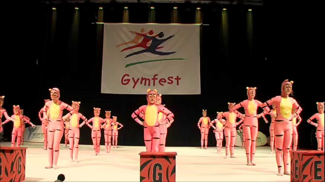 Gymfest 2015 Dynamite Sparklers - YouTube