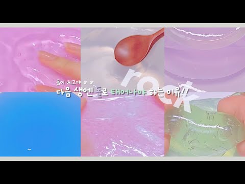 다음 생엔 돌로 태어나야 하는 이유 !!! 대시액/대규모시리즈액괴/대규모시리즈/대규모/시리즈액괴/시액/액시/실즈/알고리즘/히트/추천/알고리즘잘생김