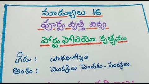 Nishtha module 16 portfolio