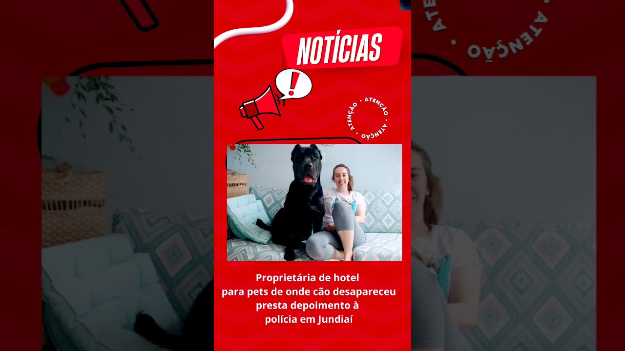 Cão desaparece após ser deixado em hotel para pets em Jundiaí:  'Desesperados', diz tutora, Sorocaba e Jundiaí