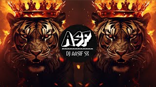 Tiger Dhun 2 - New ( Bass Mix) | DJ Aasif SK