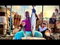 💥🤩MINNAL RAJA FISH CUTTING VIDEO ⁉️💢| FISH CUTTING VIDEO | UK SONS MARINE