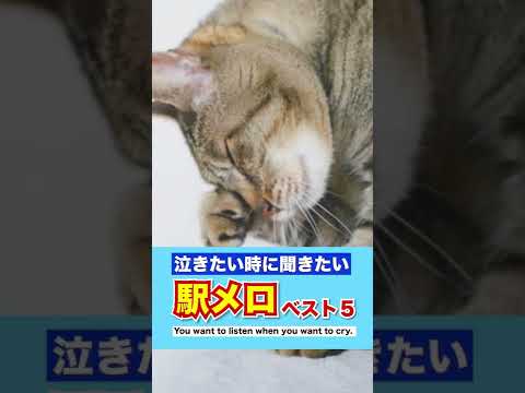 泣きたい時に聞きたい駅メロ BEST5 第1位 負けないで 小田急小田原線 渋沢駅 Shorts 駅メロ 小田急小田原線 小田急小田原線駅メロ 負けないで 小田急小田原線負けないで 渋沢駅