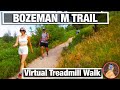 City Walks - Bozeman's M Trail Nature Walk - Virtual Treadmill Walking Trail in 4K - Fixed Sound