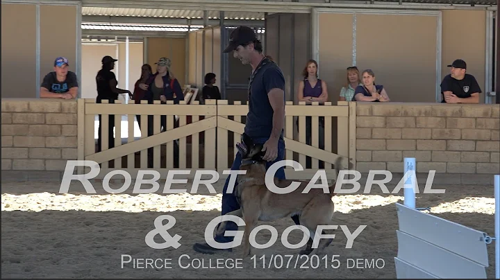 Robert Cabral Dog Training Obedience and Protectio...