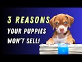 3 reasons your puppies wont sell