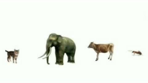 Std 6 Basic science unit 1 Class 01 White Board HImp4