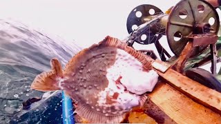 Rusyada Sezon Sonunda Bereketli̇ Kalkan Avi --- Охота На Камбала В Конце Сезона 2022