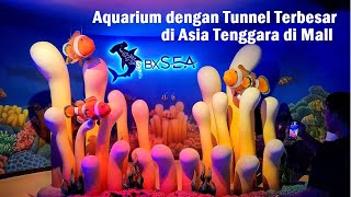 Keliling Full New Oceanarium BXSEA❗ The big tunnel aquarium in Mall Bintaro Xchange - BXC Tangsel