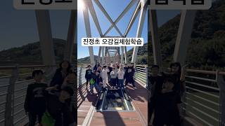 오감길체험학습 | 하동송림공원, 구재봉자연휴양림, 짚라인, 목재문화체험 #작은학교 #진정초
