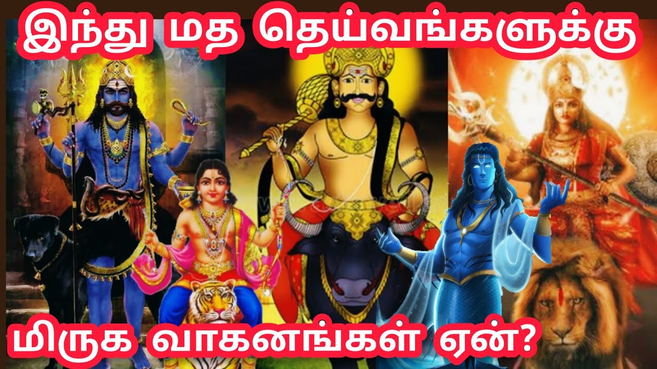 தெய்வங்களுக்கு விலங்குகள் ஏன் வாகனம் ? Hindu Gods and their Vehicles