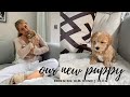 WE GOT A PUPPY | BRINGING HOME OUR TOY MALTIPOO