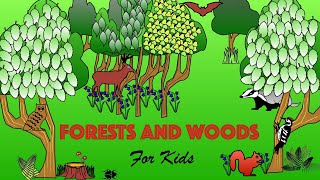 Forests and Woods for Kids | Facts and Quiz by Learning with Lisa 2,408 views 1 year ago 11 minutes, 53 seconds