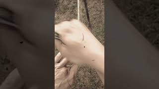 Рыболовный паук. Ручное плетение