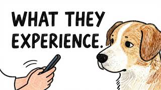 5 Things Dogs LOVE That Owners Rarely Do (Dogs Wish You Knew This)
