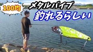 100均のメタルバイブが釣れるらしいので、釣りに行った結果...