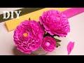 Пионы из гофрированной бумаги / DIY Peonies of corrugated paper