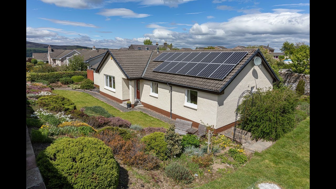 The Loan Selkirk YouTube