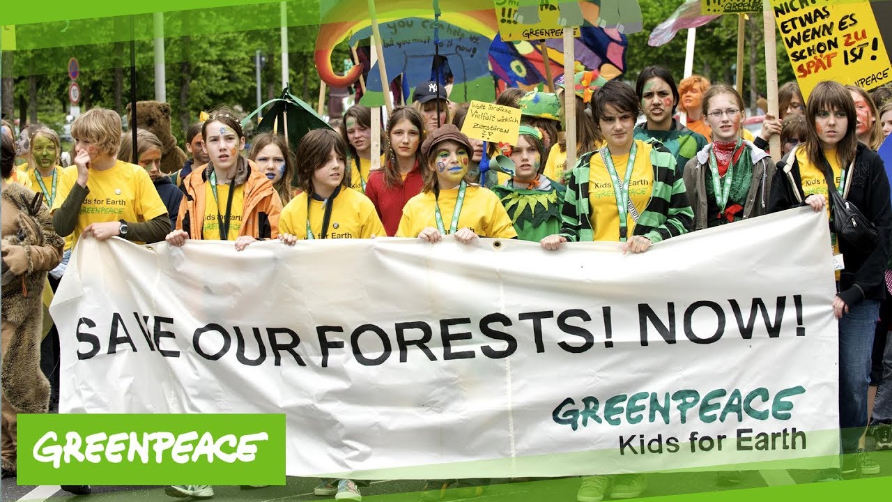 Greenpeace Kids For Earth Cbd Urwaldschutz Youtube