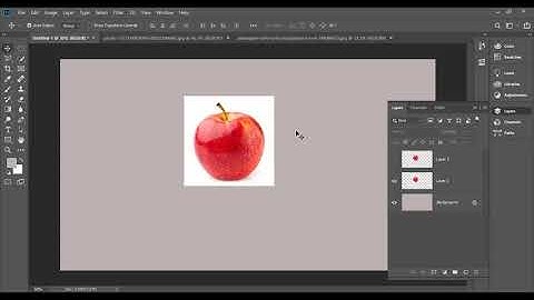 LEDP-2020 Raj L4 | GD-114 |  Class-15 | Topic: Selection tool, background remove, Photoshop