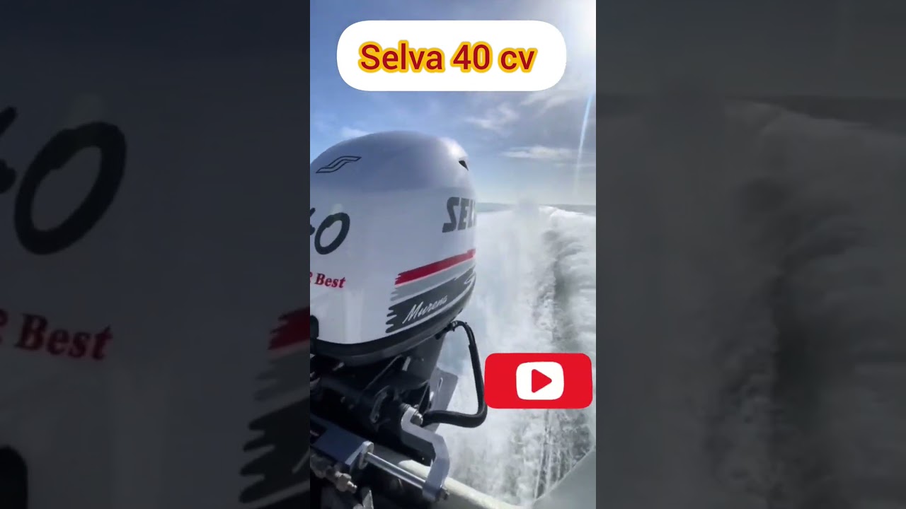 fuoribordo selva 40 CV 