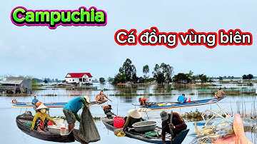 Campuchia cá đồng vùng biên giới mùa lũ tôm cá dữ dội vùng sông nước | GÓC TÂY NINH