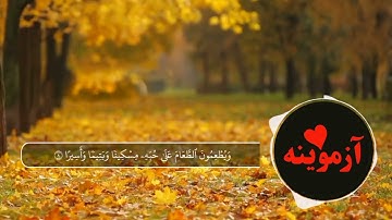 قرآن کریم پښتو ترجمه سورة الانسان آیات 1-20 Quran with pashto translation
