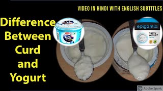 Difference Between Curd and Yogurt | दही और योगर्ट में अंतर | Everyday Life #79