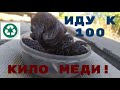 ИДУ К 100 КИЛО МЕДИ! ДОБЫВАЮ МЕДЬ ИЗ МЕЛОЧЕВКИ! АЛЮМИНИЙ, ЛАТУНЬ, МЕТАЛЛОЛОМ!