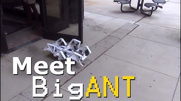 Biologically Inspired Robot Takes on the Wave Field