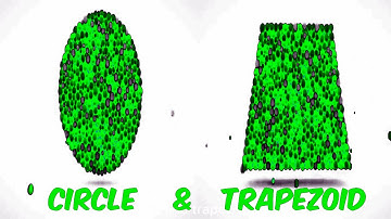 LEARN SHAPES WITH COLOR BALLS (CIRCLE & TRAPEZOID) Sponsored BY; Preview 2 Random Effects Combined
