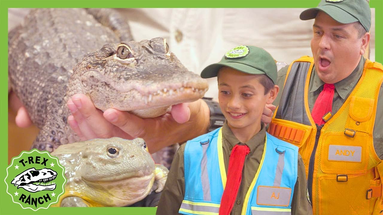 NEW! Reptile Zoo TRex Ranch Dinosaur Videos YouTube