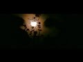 Full Moon Rising - Tonsai