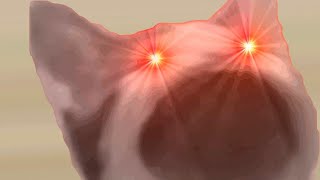 Livestreming Popcat World