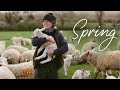 British Farming in Spring