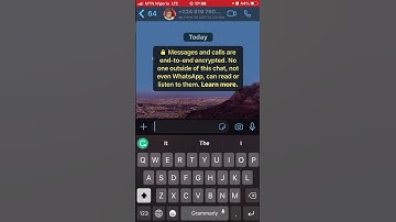 How to ban, block & report a scammer on WhatsApp.