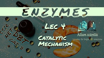 Enzymology, catalysis mechanism, acid base catalysis