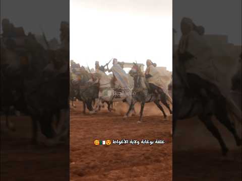 فنتازيا الجزائر لقطات نادرة من فرسان وخيول من ركب لبيض سيدي الشيخ علفة بلغابة عين تموشنت 8