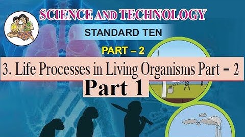 3. Life Processes in Living Organisms 2 Pt 1| 10th Science 2 Maharashtra Board