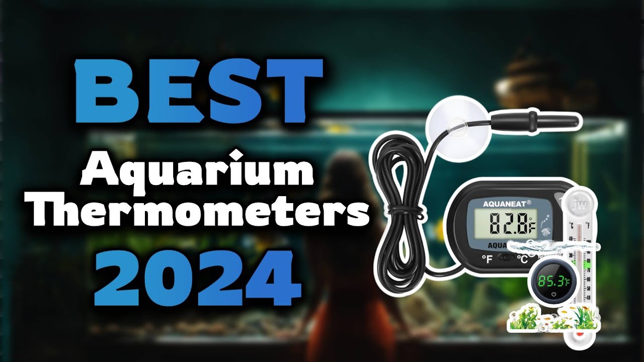 Aquarium-Thermometer Test und Vergleich 2024