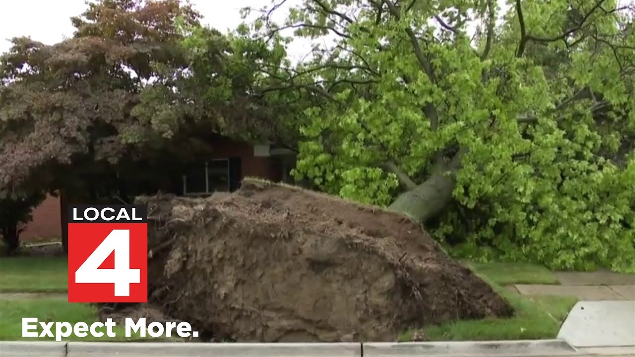 Tracking damage in Metro Detroit after round of severe storms on July ...