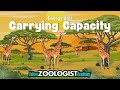Understanding Carrying Capacity and Limiting Factors