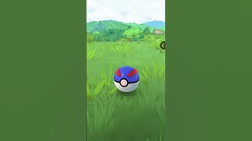 First Pokémon of the day and it