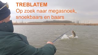 Op zoek naar mega snoek mega snoekbaars en mega baars