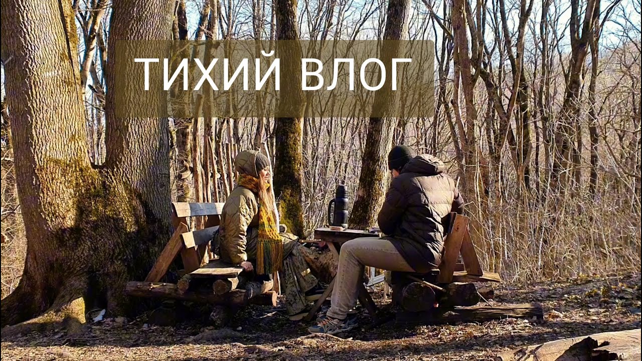 VLOG. Слушать лес,тишину. Коллаж как терапия. Новый личный дневник ...