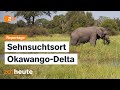 Auswandern Nach Botswana Der Traum Von Der Selbstständigkeit Im Nationalpark