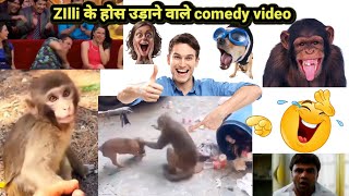 😂new zilli funny viral videos 2022 😂@funny viral videos @viralvideos