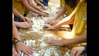 Conhecer o Porto-Colégio do Sardão