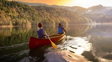 Combine images with Generative Fill  Photoshop