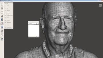Timelapse of 3D scan cleanup in Meshmixer for Grandpa